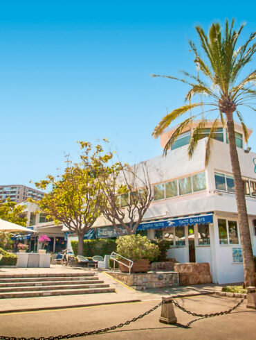 club maritime contemporain Majorque