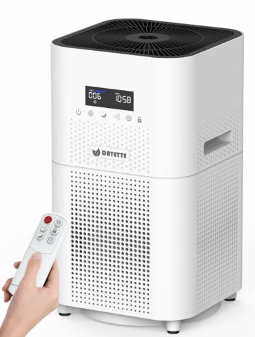 purificateur air BIG Everyday