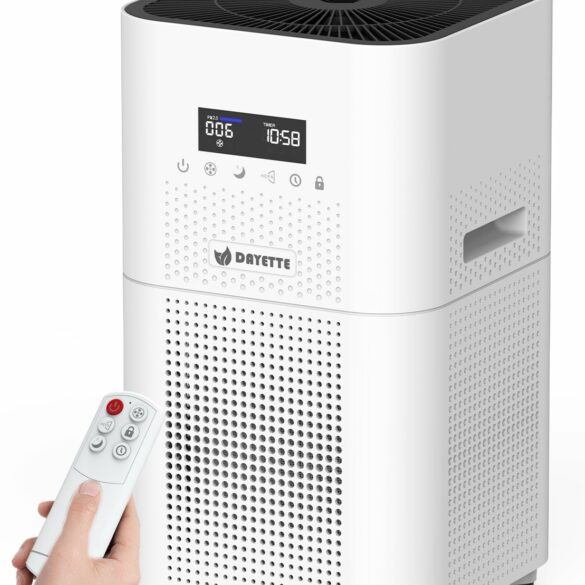 purificateur air BIG Everyday