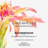 lineapelle fiera pelle milano