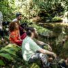 ecotourism national park forest