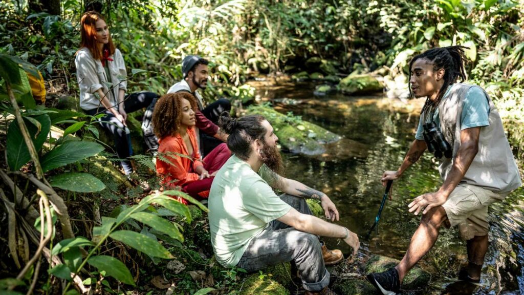 ecotourism national park forest