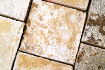 mycelium biomaterial acoustic wall panel texture