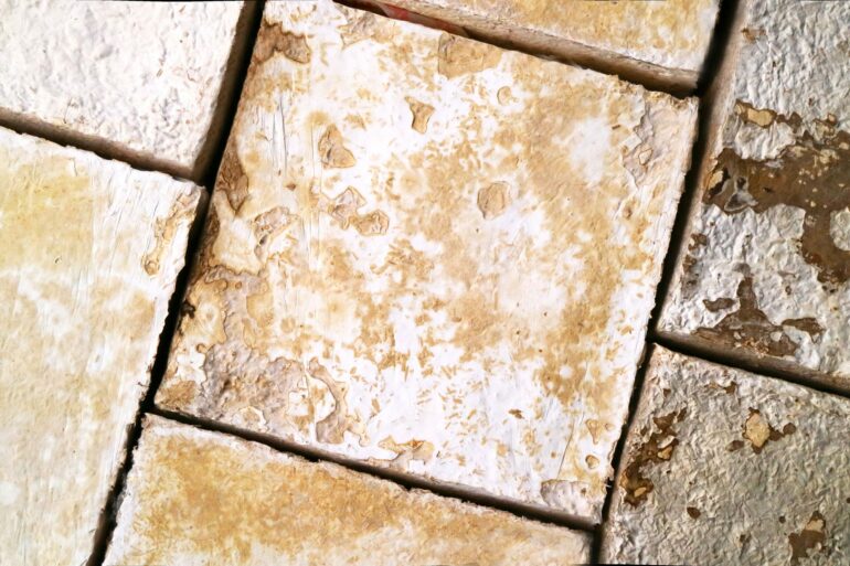 mycelium biomaterial acoustic wall panel texture