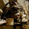 Pitt Rivers Museum human remains