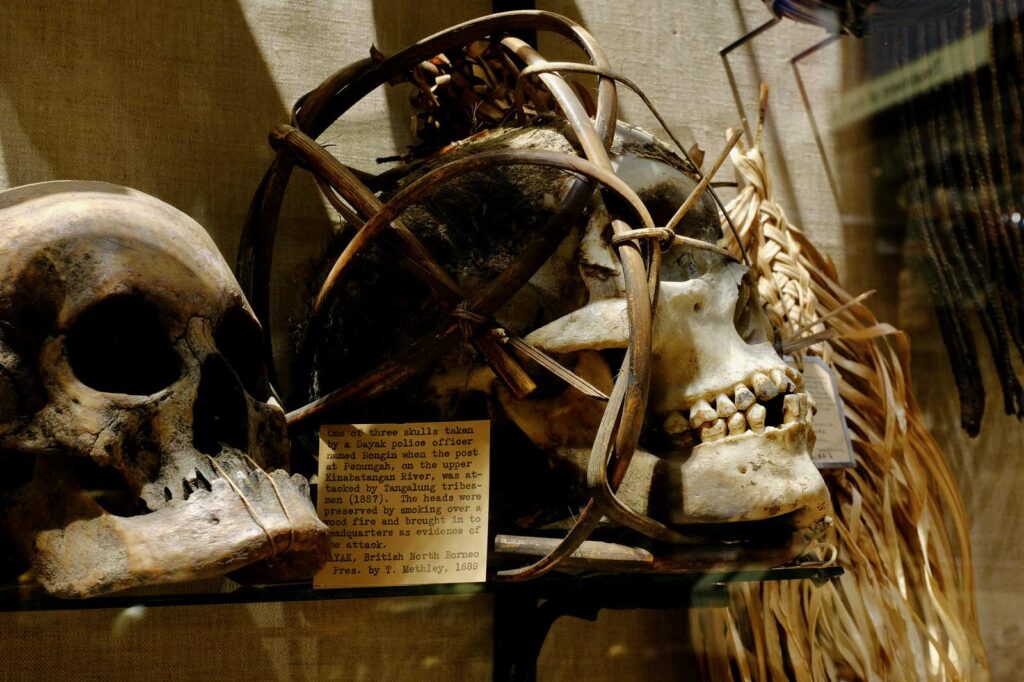 Pitt Rivers Museum human remains