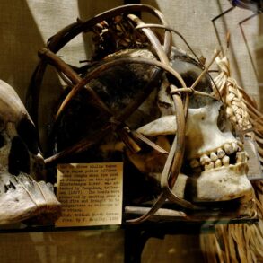 Pitt Rivers Museum human remains
