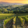 Chiantigiana SR 222 road Tuscany