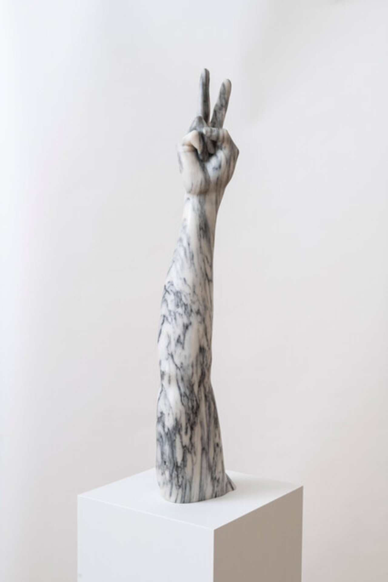 Hank Willis Thomas Territorio installation 2026