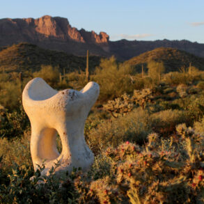 Lisa Sette Gallery Phoenix