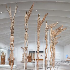 Metropolitan Museum of Art Michael C. Rockefeller Wing renovation 2025