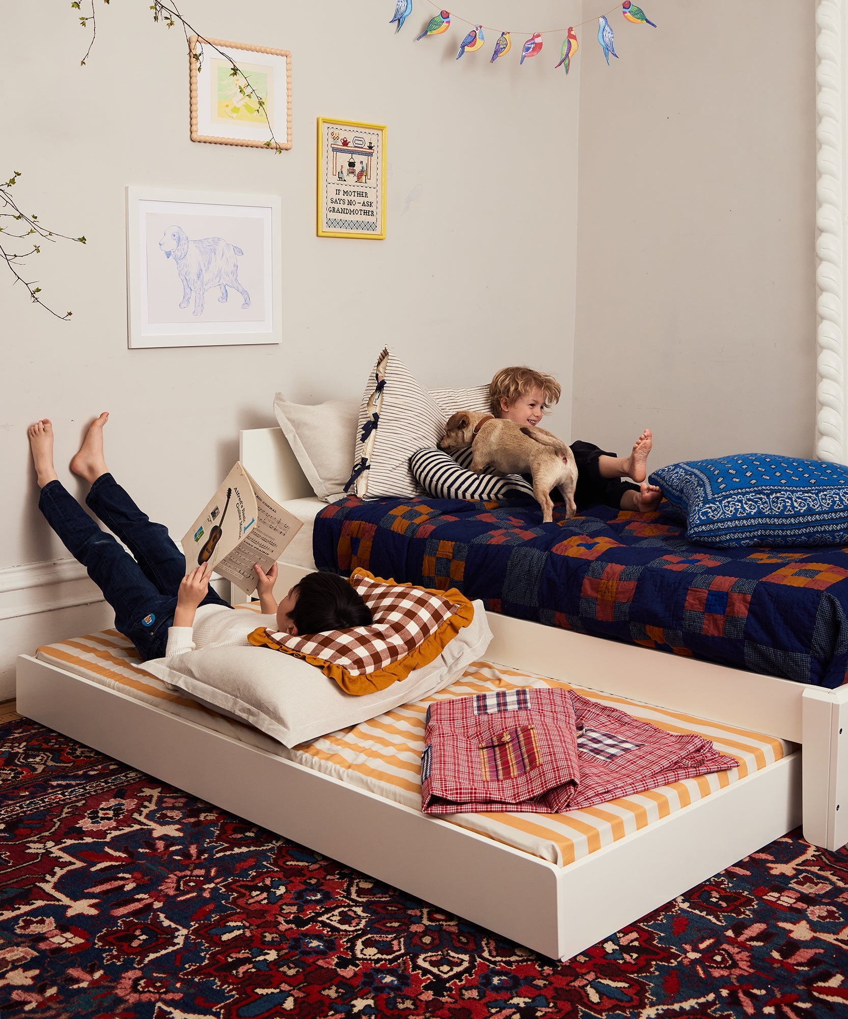 Milliard Twin Daybed black tubular metal frame 2026
